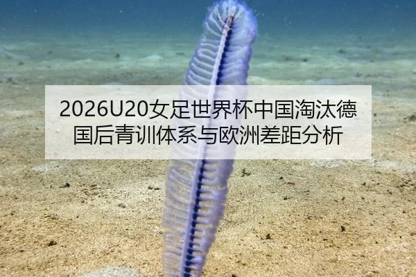 2026U20女足世界杯中国淘汰德国后青训体系与欧洲差距分析